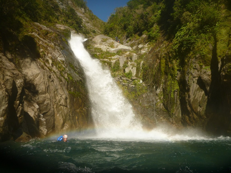 Read more about the article West Coast stewardship land reclassification